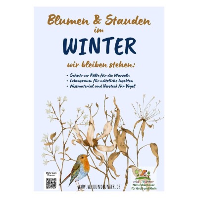 Blumen &amp; Stauden im Winter - PDF zum Selberdrucken GRATIS für begrenzte Zeit