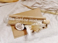 Reagenzglas Geldgeschenk Box