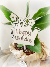 Blumenstecker Happy Birthday Spruch Gießkanne 2