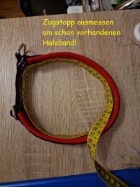 Traumhaftes Hundehalsband 9