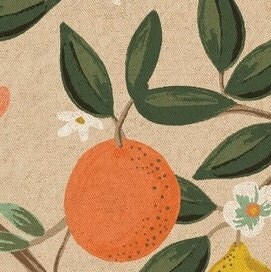 Bramble - Citrus Grove - COTTON + STEEL CANVAS natural 3