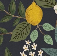 Bramble - Citrus Grove - COTTON + STEEL CANVAS navy 3