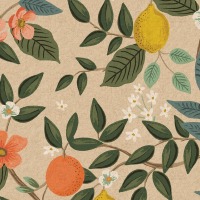 Bramble - Citrus Grove - COTTON + STEEL CANVAS natural