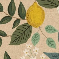 Bramble - Citrus Grove - COTTON + STEEL CANVAS natural 2