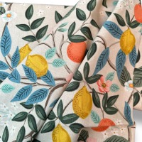 Bramble - Citrus Grove - COTTON + STEEL CANVAS natural 5