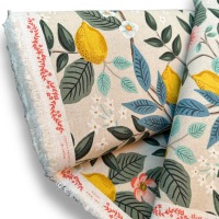 Bramble - Citrus Grove - COTTON + STEEL CANVAS natural 7