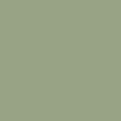 Pure Solids von Art Gallery Baumwolle FRESH SAGE PE-502