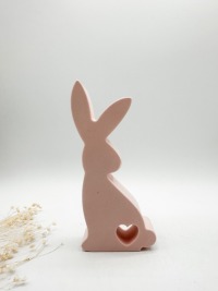 Niedlicher Hase mit Herz 6