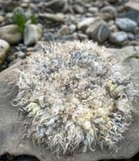 Nachhaltiges Sitzfell vom Gotlandschaf