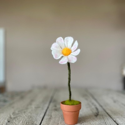 Wundervolle handgefilzte Blumen im Topf - aus Bergschaf und Wollvlies in verschiedenen Farben und Gr