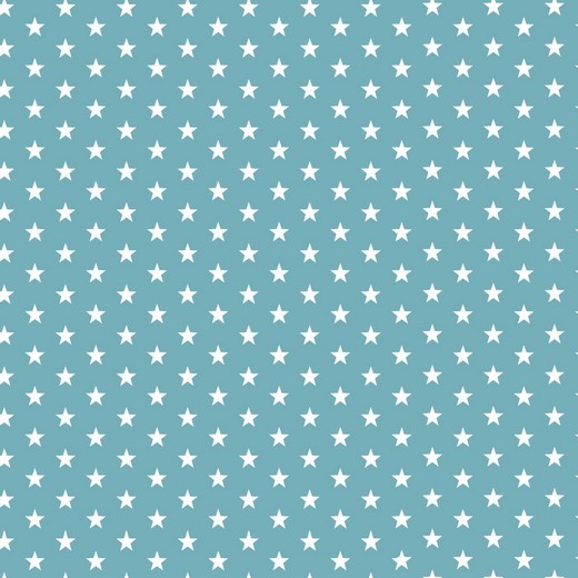 0,5m BW dusty jeans Sterne Petit Stars 025 4