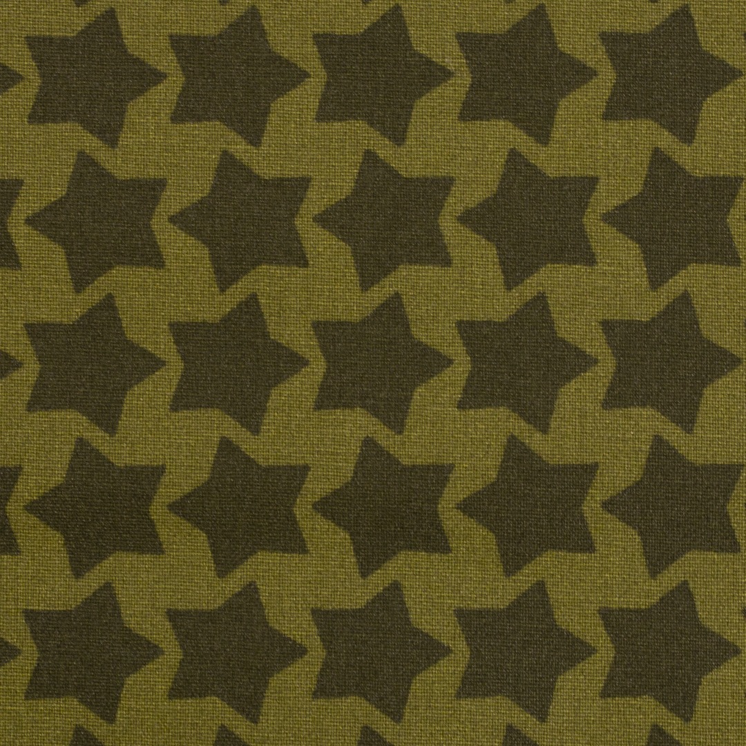 025m Beschichtete Baumwolle Staaars by Farbenmix Sterne Khaki grün
