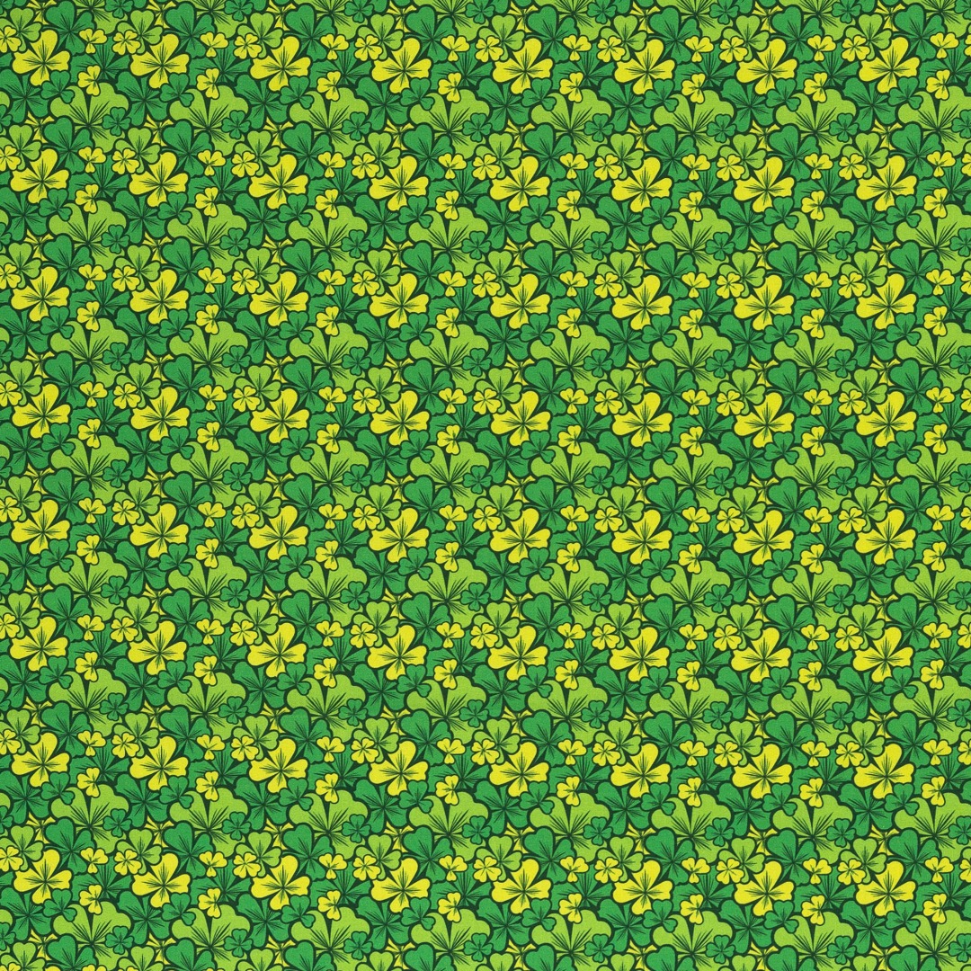 0,5m BW Kim Klee, grün gelb 2
