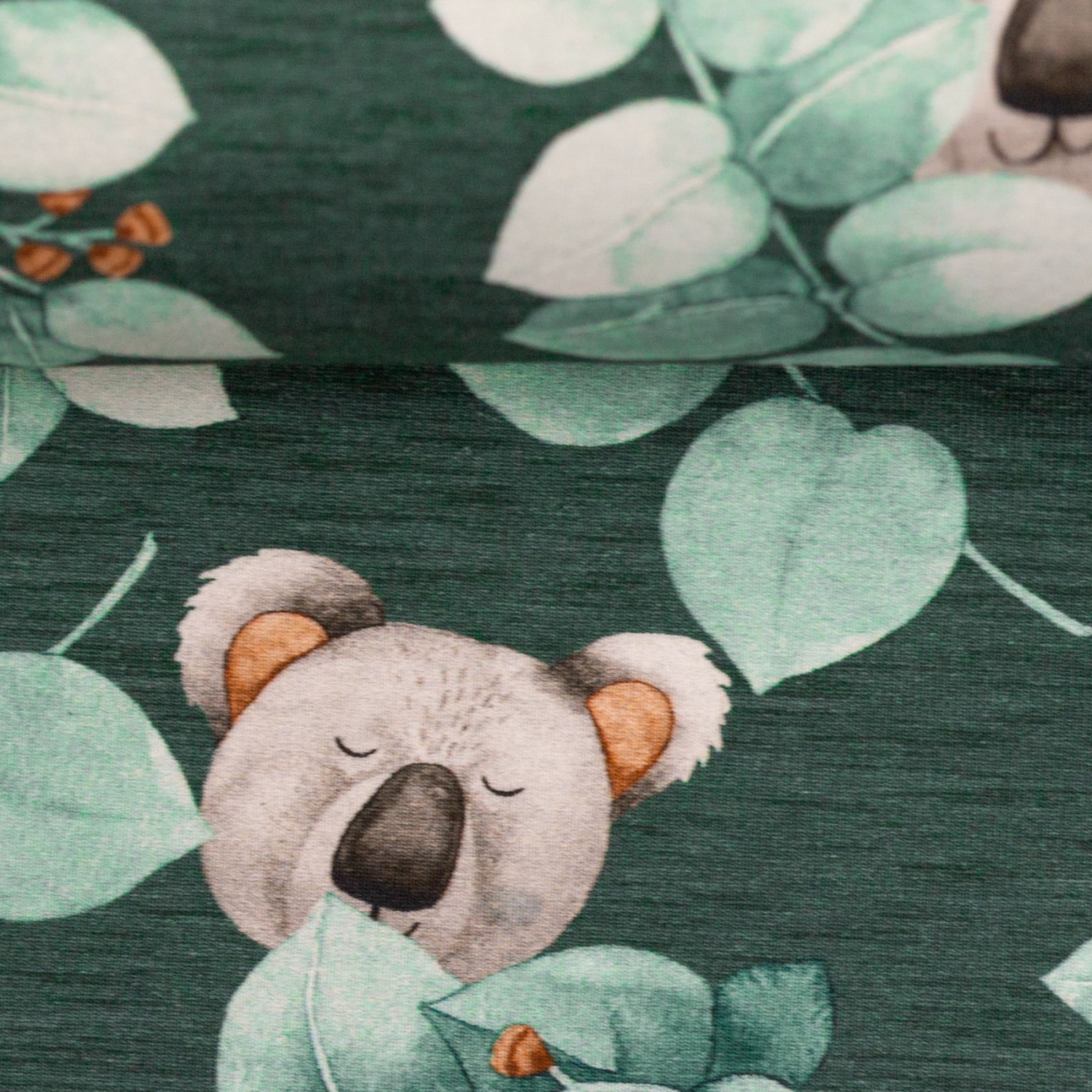 05m Jersey Koala Eucalyptus dunkelgrün