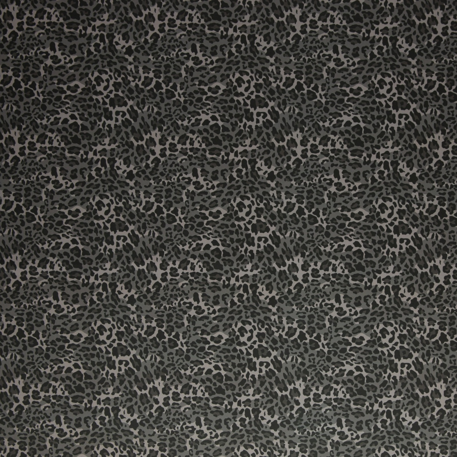 05m Softshell Fietje Leao Print schwarz grau 4