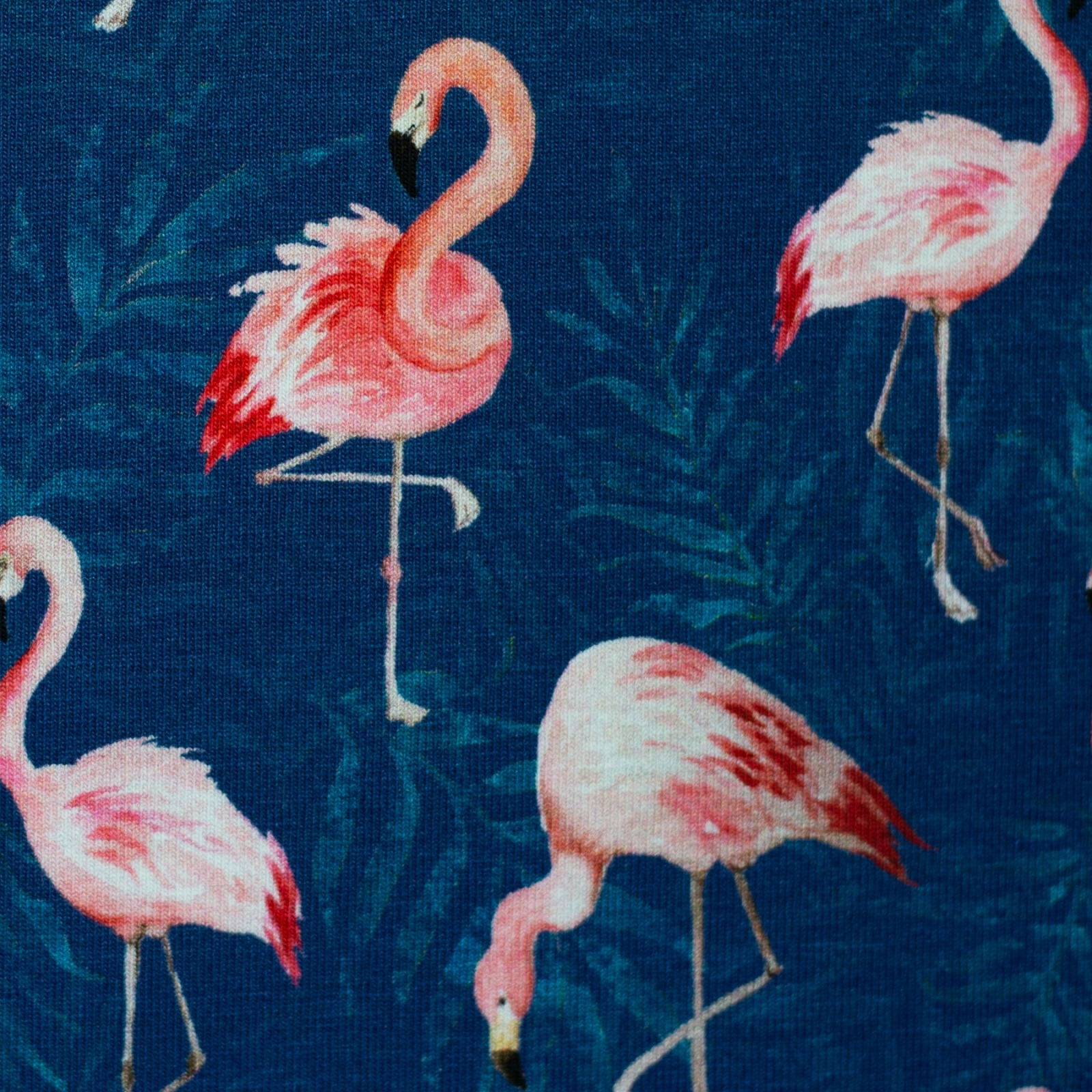 05m Jersey Animals by Christiane Zielinski Flamingo blau pink 3
