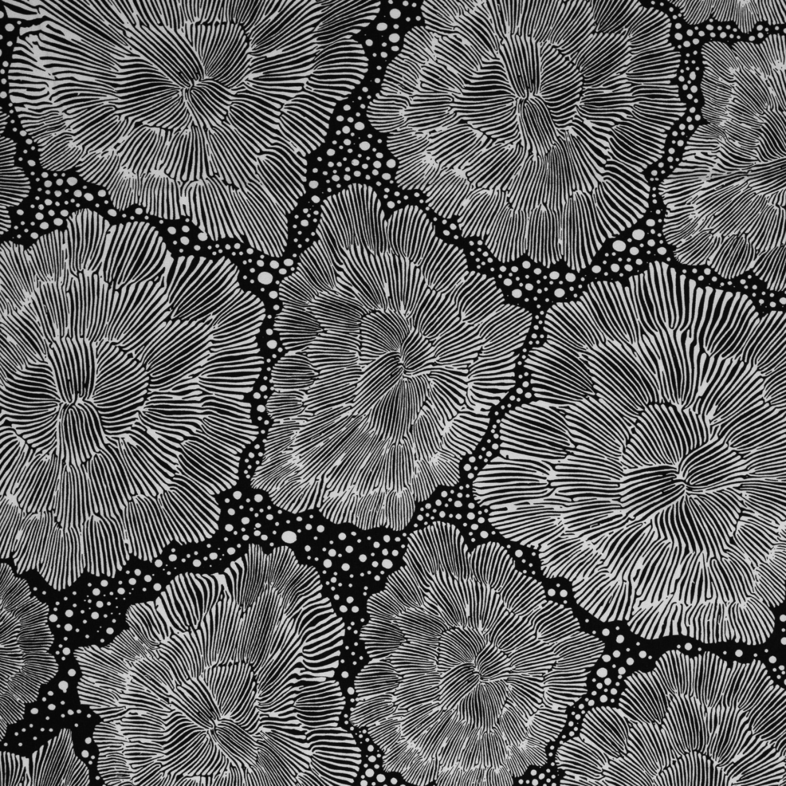 0,5m Modal Sweat Flores de hielo, Blumen, schwarz weiß 2