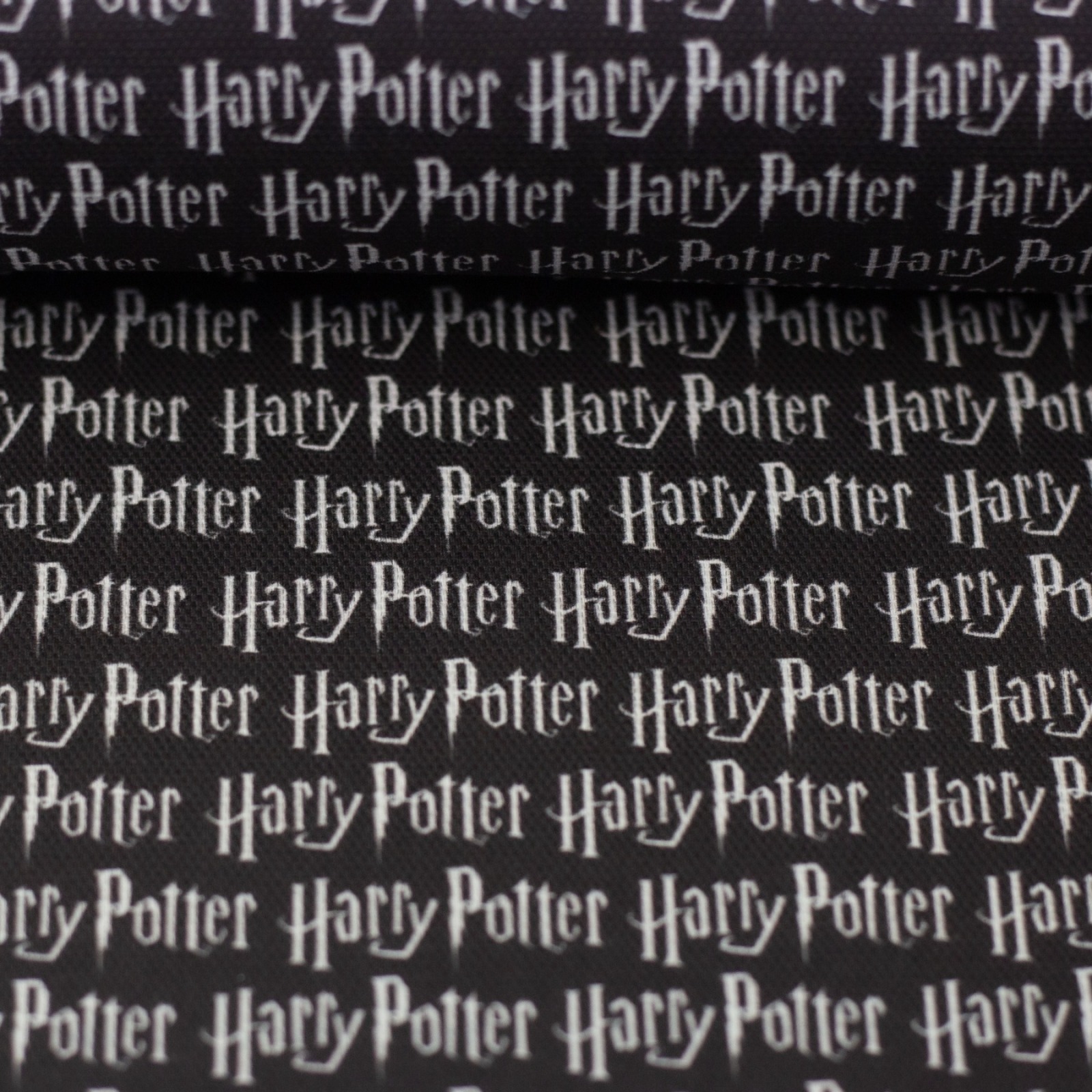 0,5m Canvas Harry Potter Lizenz Schriftzug, schwarz weiß