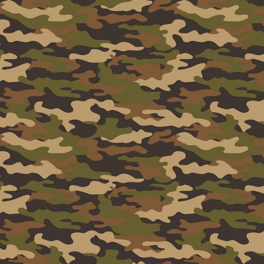 05m BW Army Camouflage Oliv Grün Taupe