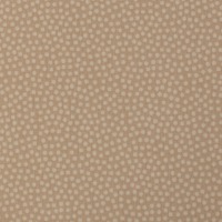 0,5m Baumwolle Dotty Punkte 2 mm, beige 170 3