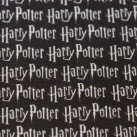 0,5m Canvas Harry Potter Lizenz Schriftzug, schwarz weiß 2