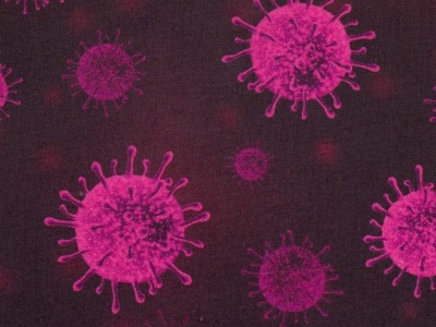 0,5m BW Kim Virus, dunkelrot Erika pink