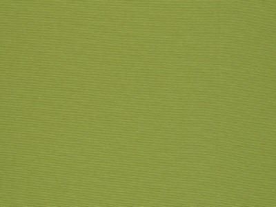 05m Jersey Bella Streifen Ringel 1mm Lime grün - weitere Farben erhältlich