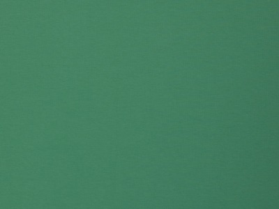 French Terry Sommersweat Maike F/S 24 uni , grün - weitere Farben erhältlich