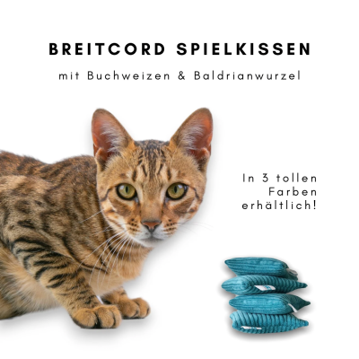 Spielkissen aus Breitcord mit Baldrianfüllung - Robustes Katzenspielzeug in verschiedenen Farben