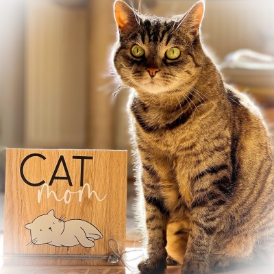 Holzbild Catmom - Einzigartige Dekoration für Katzenliebhaber