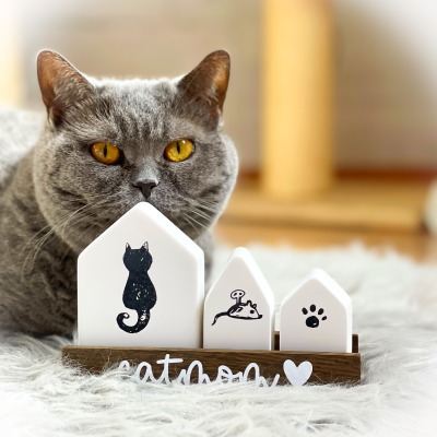 Häuschen Catmom - Raysin Häuschen mit Holz-Tablett