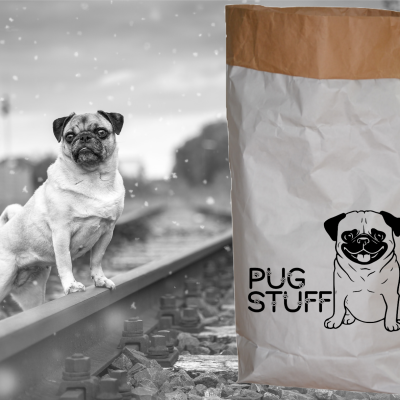 Paperbag / Papiersack zur Aufbewahrung mit Hundemotiv | Mops I Pug - Papiersack zur Aufbewahrung von