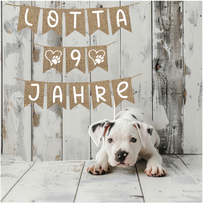 Wimpelkette I Girlande I Hundegeburtstag I personalisiert mit Wunschtext - Nachhaltige und
