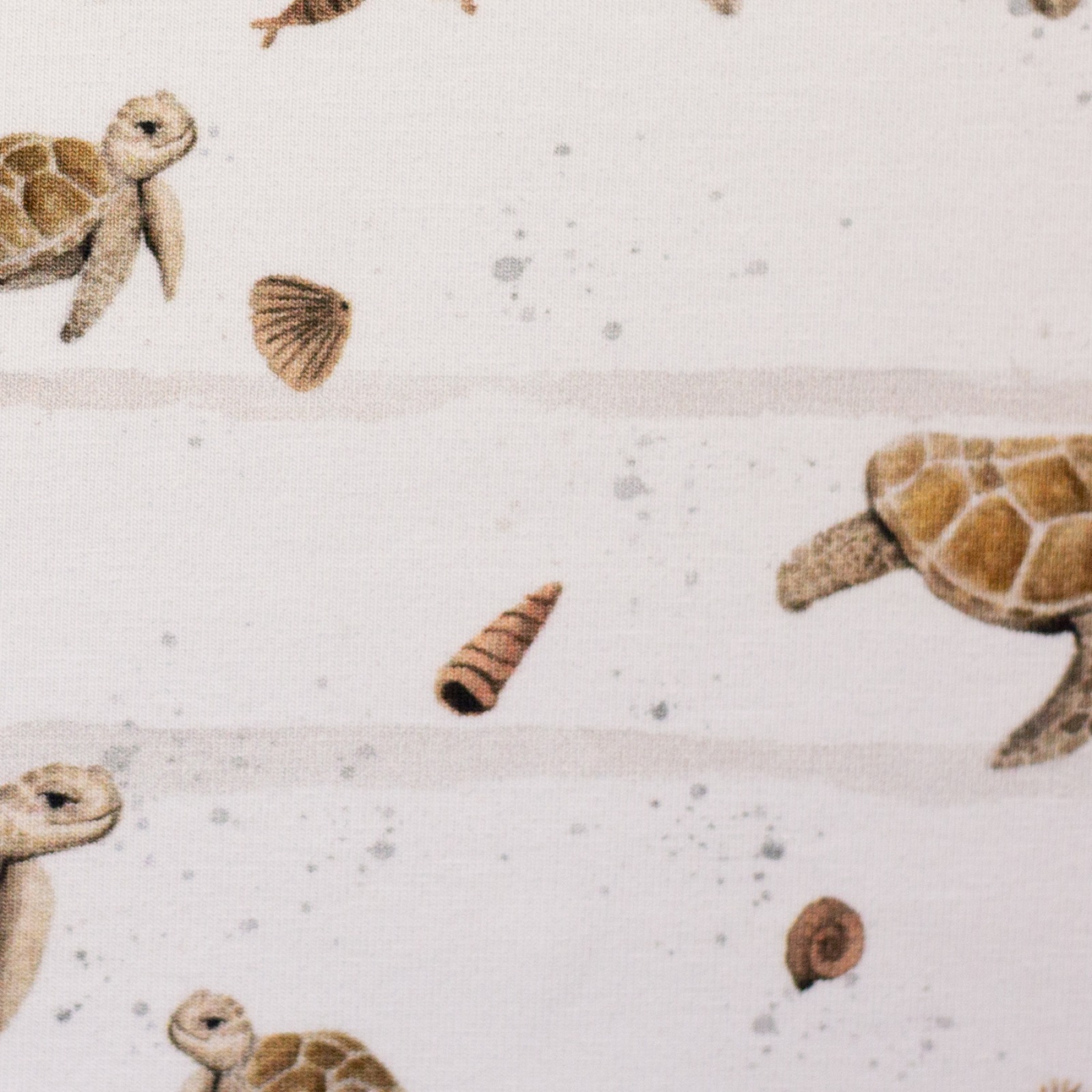 Jersey Schildkröten - rohweiß - Animals - Christiane Zielinski - Swafing 3