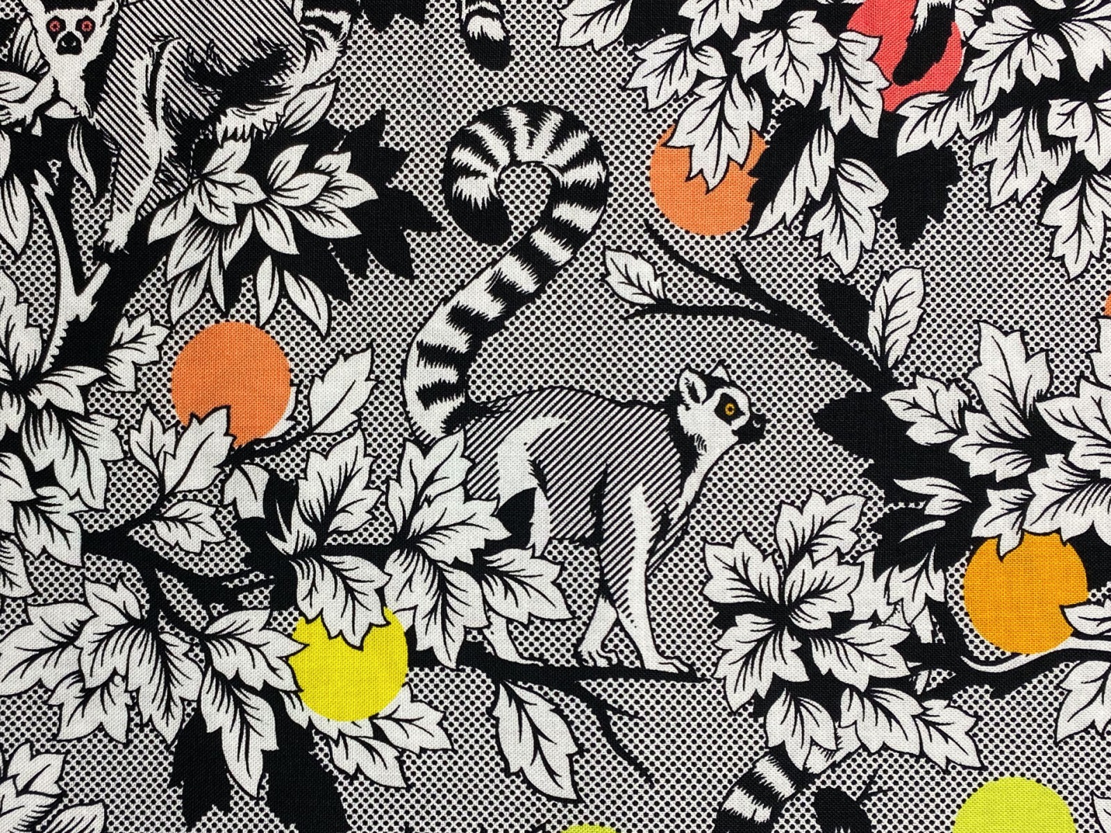Stoff Lemur Me Alone - 100 Baumwolle - schwarz/weiß - Patchwork - Free Spirit Fabrics - Tula Pink - Kattas -Lemuren 2