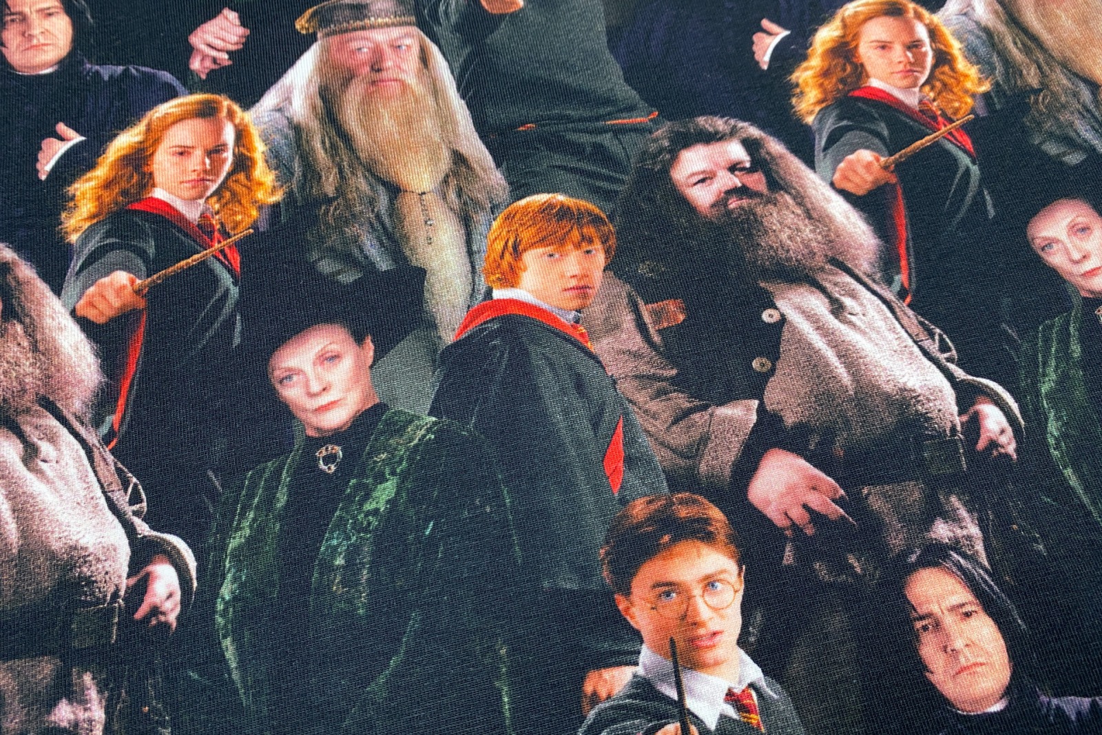 Harry Potter Jersey - 19,80 EUR/m - Hermine - Ron - Dumbledore - Hagrid - Snape - McGonagal - Lizenz