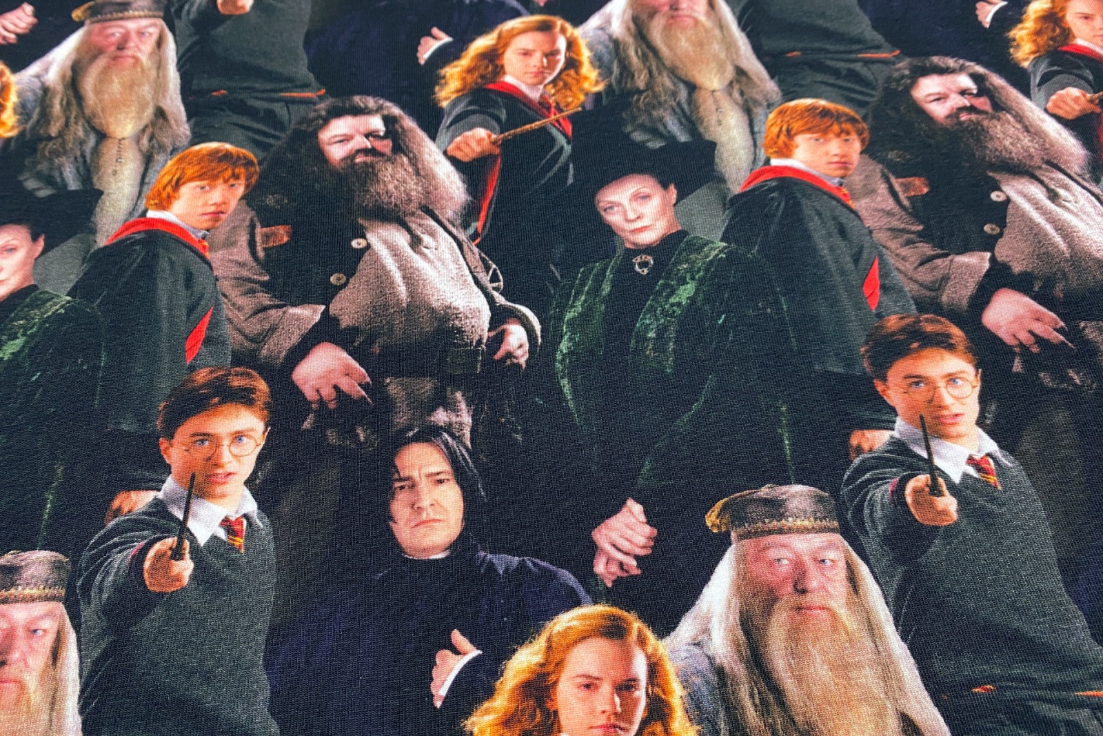 Harry Potter Jersey - 1980 EUR/m - Hermine - Ron - Dumbledore - Hagrid - Snape - McGonagal -