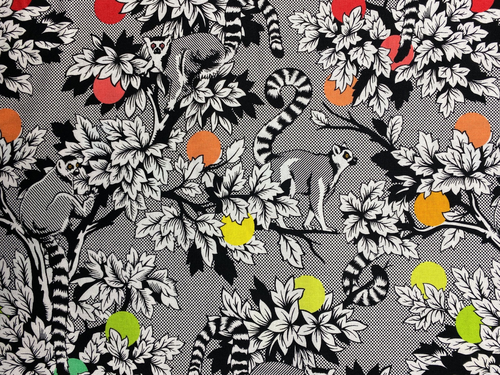 Stoff Lemur Me Alone - 100 Baumwolle - schwarz/weiß - Patchwork - Free Spirit Fabrics - Tula Pink - Kattas -Lemuren 6