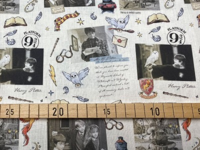 Harry Potter Stoff - Filmbilder - 1300 EUR/m - Fotos aus der Stein der Weisen - weiß - 100