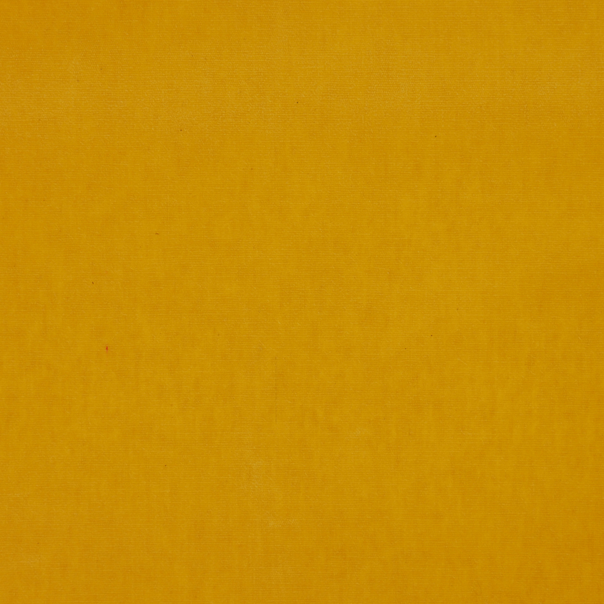 80156 Havy Oilskin beschichteteBaumwolle senf senfgelb gelb uni