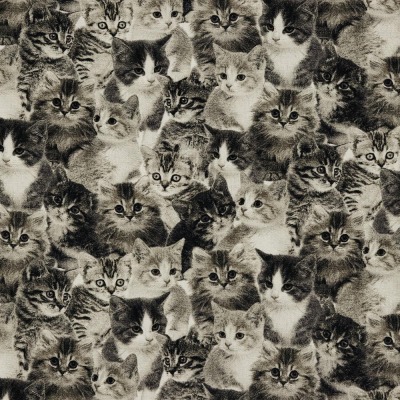 07394002 Stoff Taschenstoff Canvas Shabby Katzen Cats