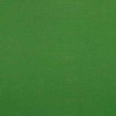 08762.069 Baumwolljersey Jersey Stretch grün moos uni