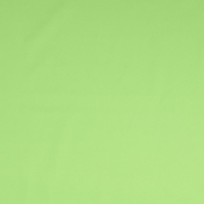 200218.5037 Stoff Baumwolle Popeline grün hellgrün uni