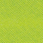 Schrägband von Hanabi Uni 3cm apfelgrün