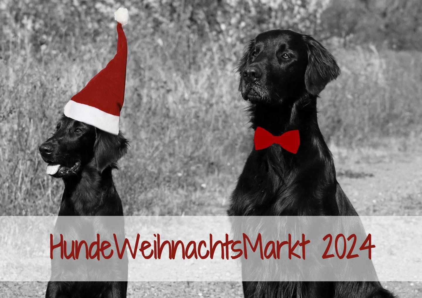 Hundeweihnachtsmarkt Köln 2024