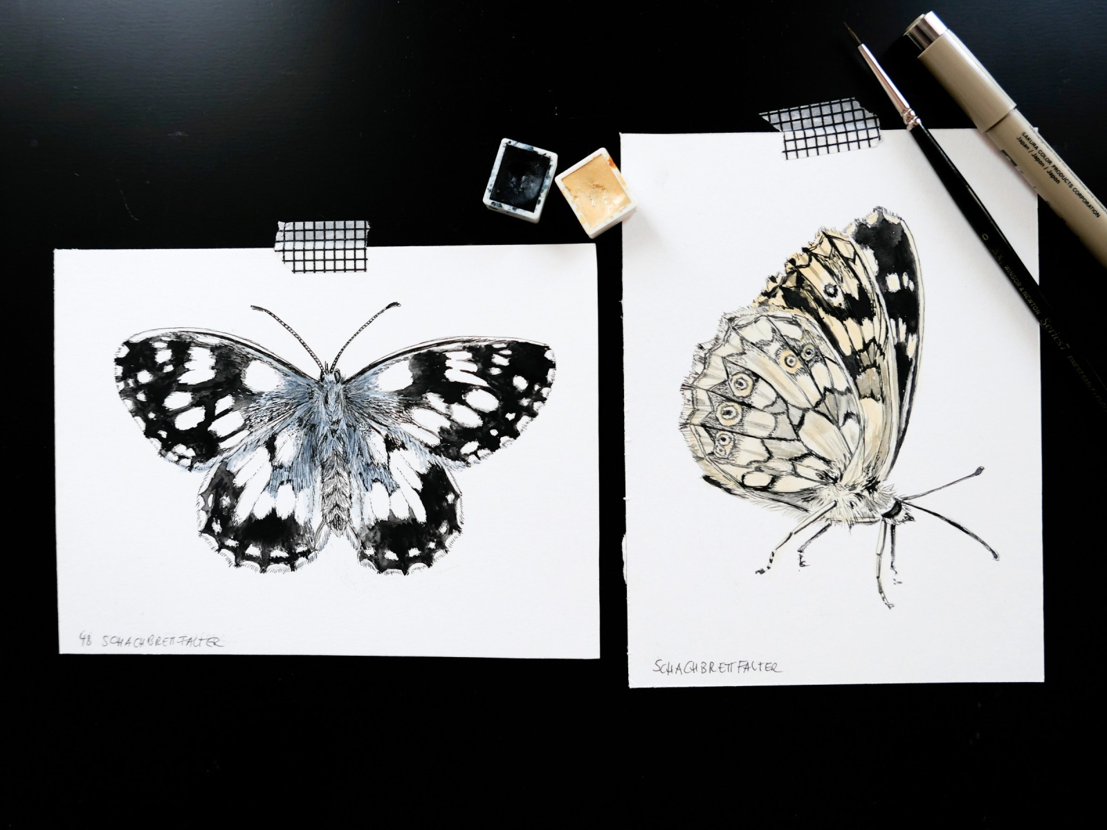 heimische Schmetterlingsarten, 35 Schmetterlinge, Schmetterlingsposter, Fine Art Print, Giclée