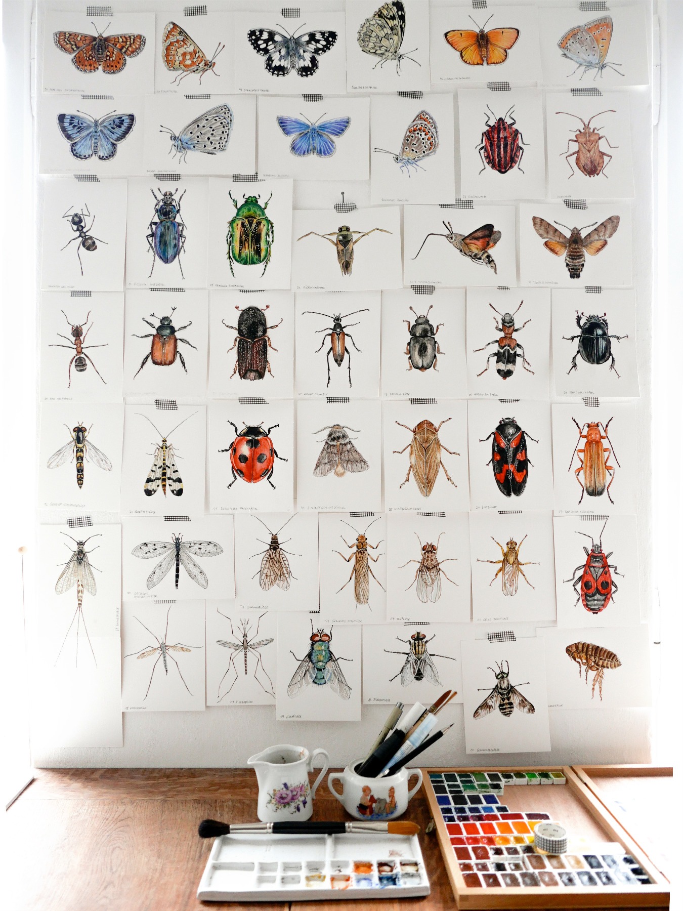 Schmetterlinge auf der Wiese, Schmetterlinge gezeichnet, Schmetterlingsposter, Fine Art Print,