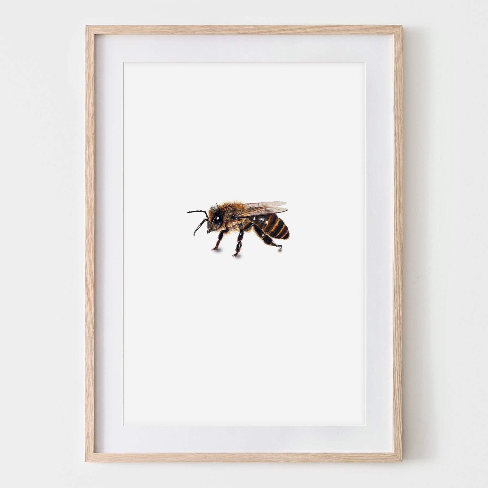 Honigbiene Seitenansicht, Fine Art Print, Giclée Print, Poster, Kunstdruck, Zeichnung, DIN A4
