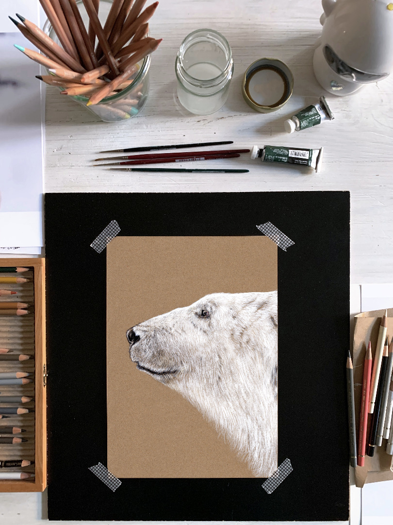 Polarbär, Eisbär, Fine Art Print, Giclée Print, Poster, Kunstdruck, Tier Zeichnung 2