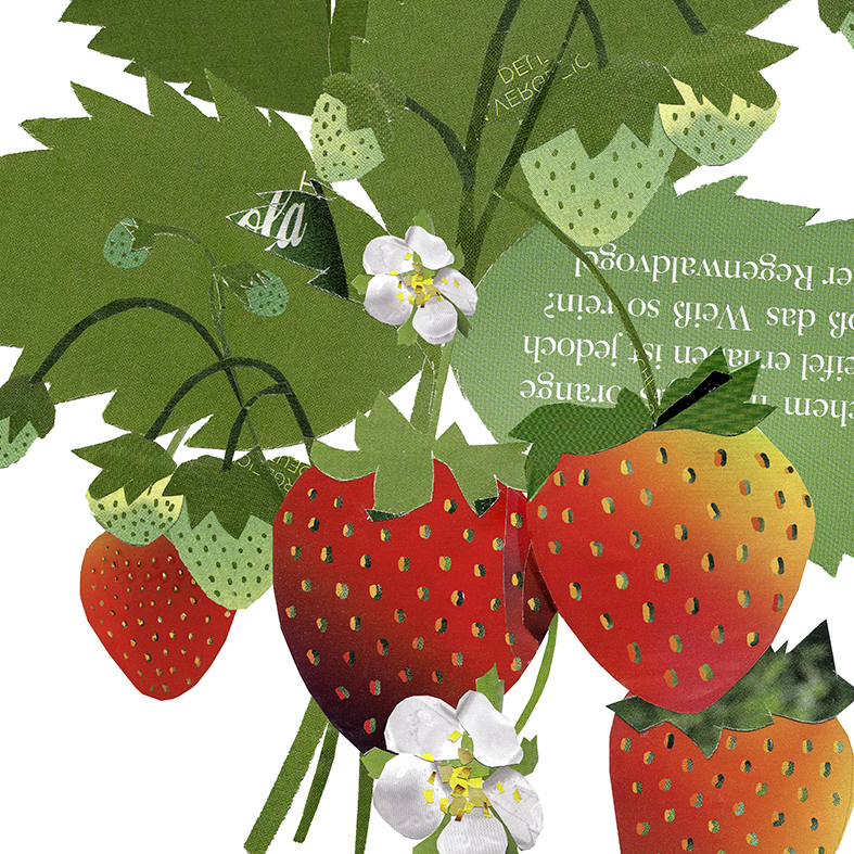 Erdbeerpflanze Collage Poster Kunstdruck DIN A3 Pflanzenposter 2